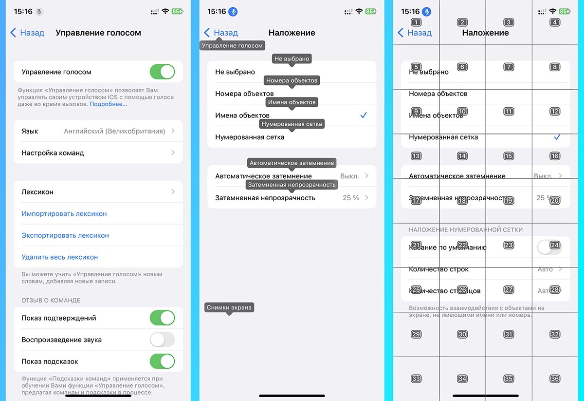 Интерфейс голосового помощника. Управлять голосом приложение. Настроить голосовой. Команды для управления голосом. Управление голосом айфон.