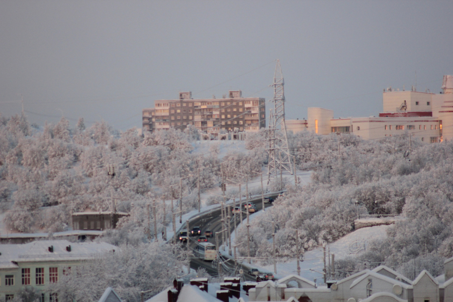 Мурманск, зима, снег, деревья, машины