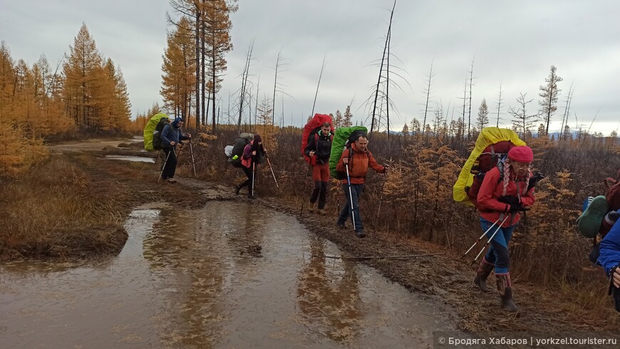 Чарские пески — самая северная пустыня