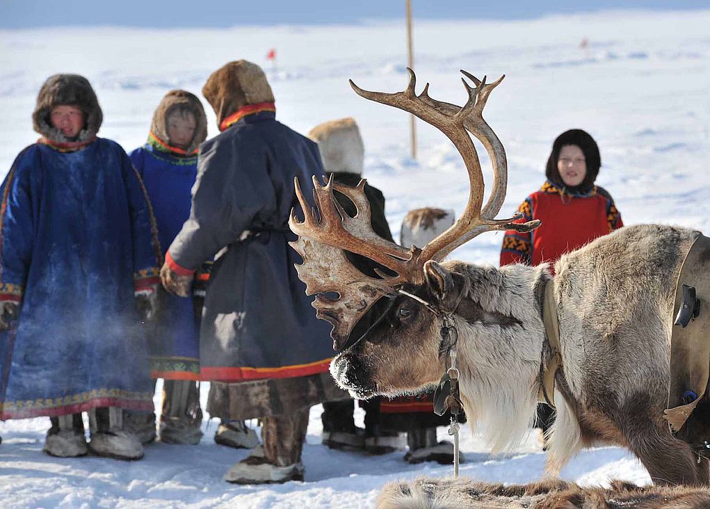 Коренные малочисленные народы сколько этносов. Таймыр малочисленный коренной народ. Ненцы Таймыр. Народы Таймыра коренные народы. Коренные малочисленные народы севера России.