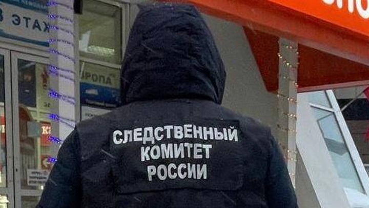Наледь с крыши торгового центра в Воронеже травмировала женщину с ребенком