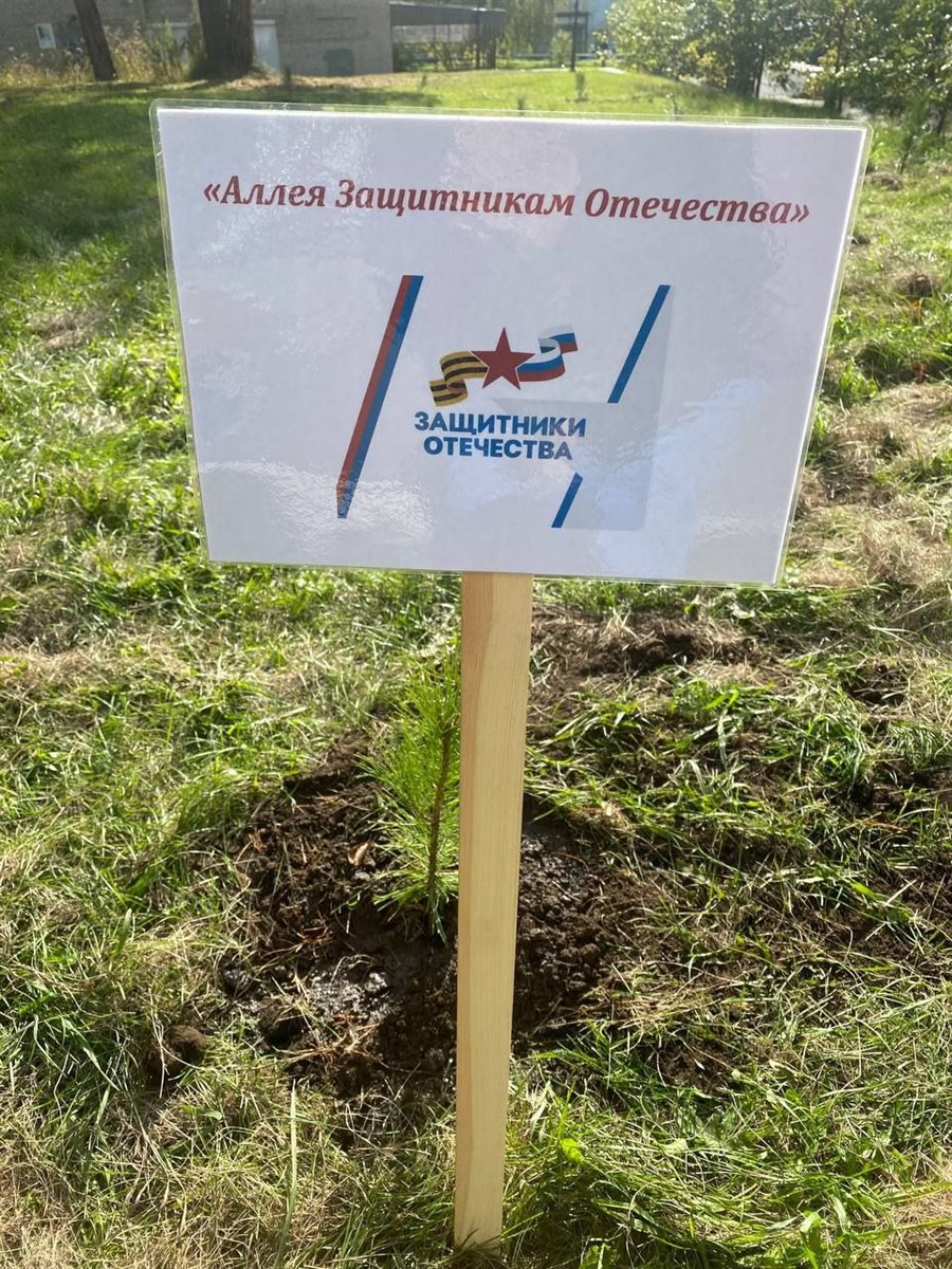 Аллея победителей тула. Аллея партизан на поклонной горе фото. Аллея защитникам. Аллея славы победы. Госадминистрация бендер.