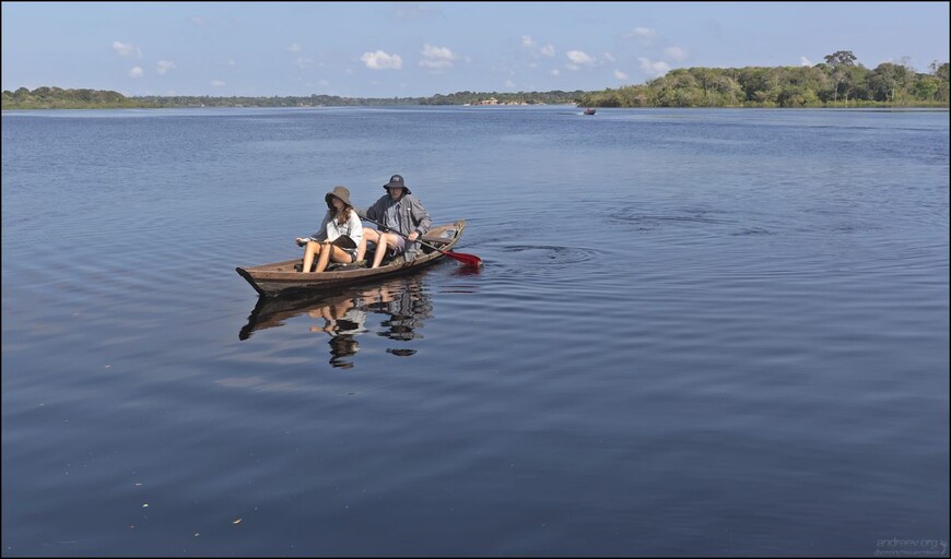Розовые дельфины Черной реки