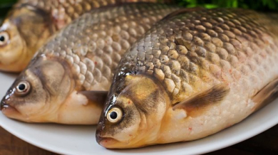 ФАС проверит обоснованность роста цен на доставку рыбы
