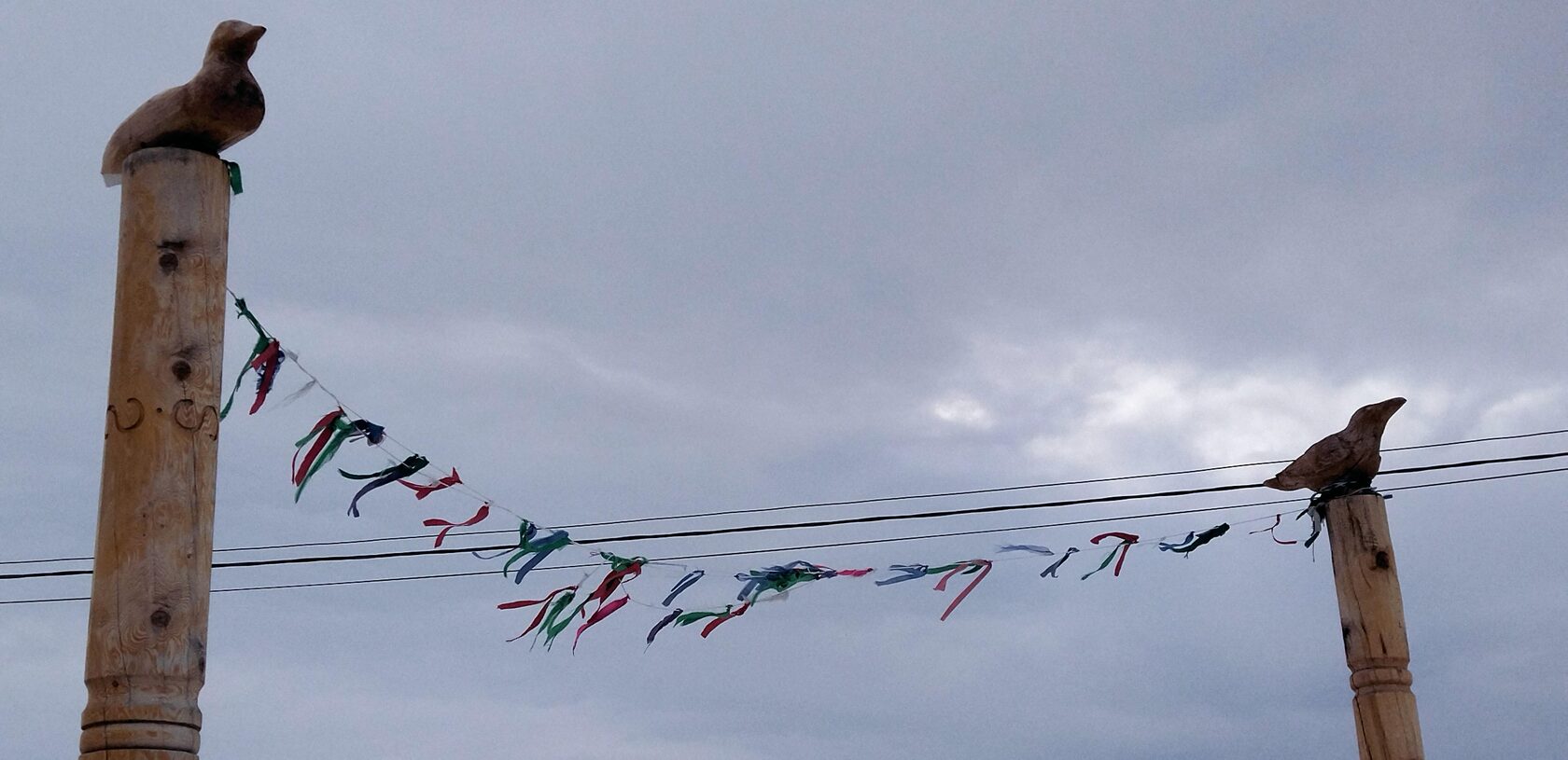 Рассылка «ПОРА в Арктику! GoArctic!» – выпуск от 8 февраля 2026 года