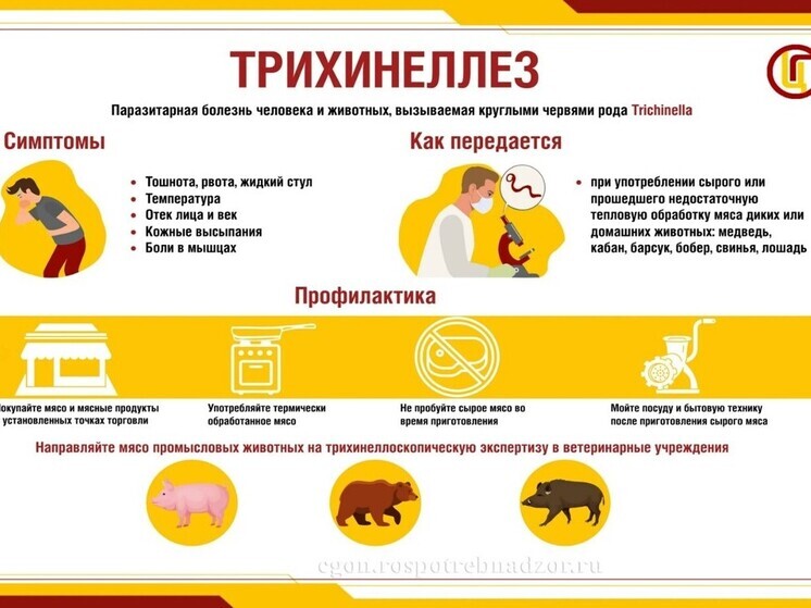 Трихинеллёз, цепни и токсоплазмоз: врачи рассказали сахалинцам, какие инфекции скрывает непрожаренное мясо
