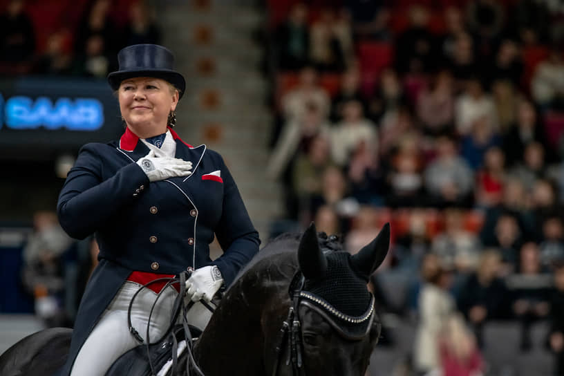 фриз фризская лошадь. сходить конь. сходить конь. уродливый конь. конь в галстуке.