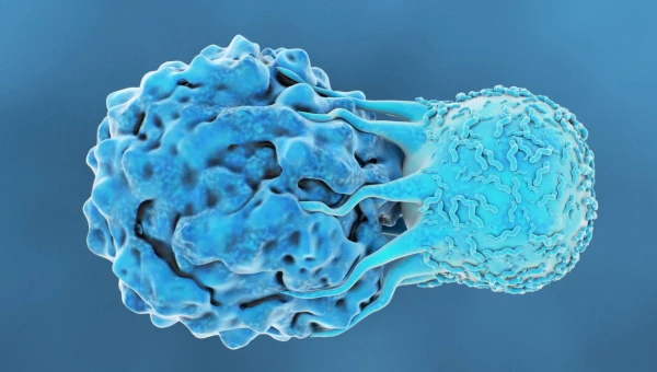 Nature Cancer: Определены биомаркеры успешного лечения опухолей костного мозга
