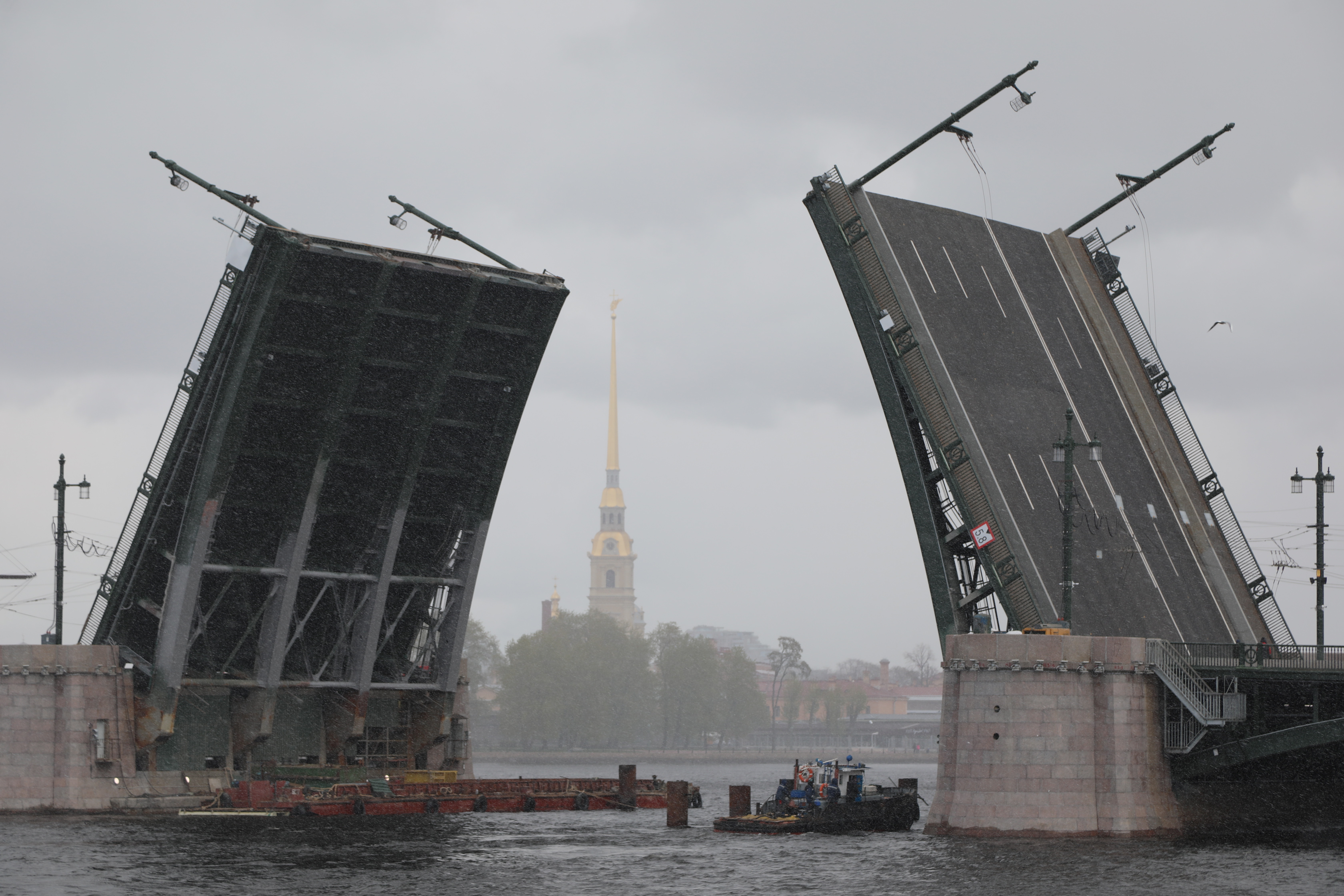 Когда в питере разводят мосты 2024 апреле