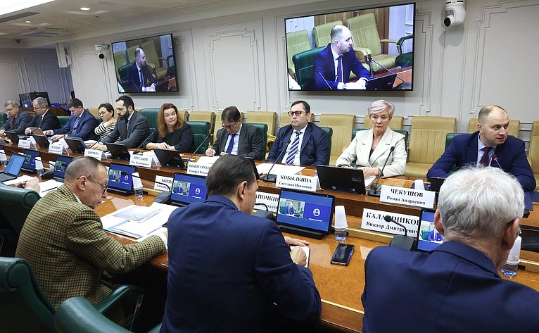 Парламентские слушания Комитета СФ по экономической политике «Комплексное развитие потребительского рынка. Органический рост всех торговых форматов»