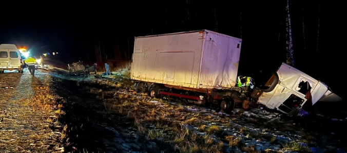 Водитель грузовика раздавил супругов и погубил напарника в ДТП в Брянской области