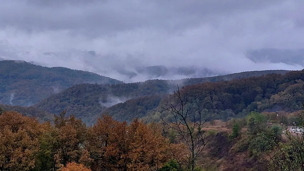 В Краснодарском крае 27 октября местами грозы и град: ситуация по городам