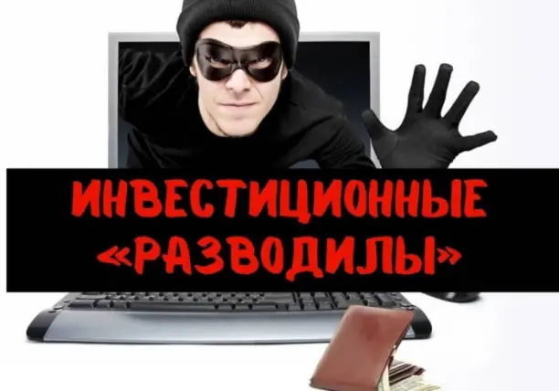 Фото: открытый источник