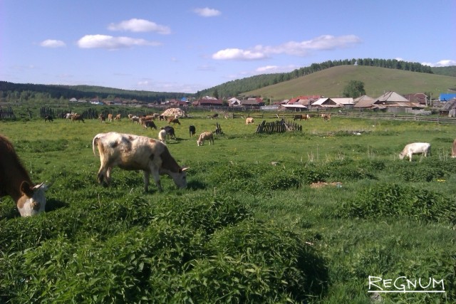 В Башкирии анонсировали проведение форума по этнотуризму | Культура ...