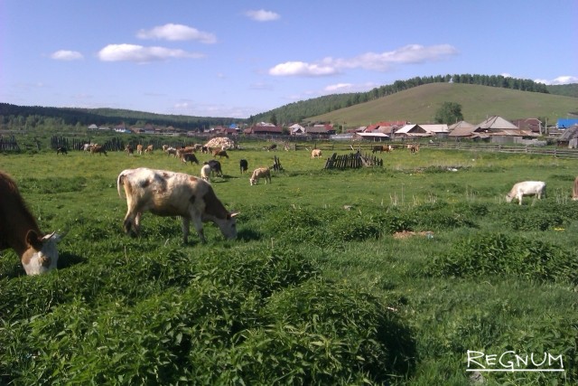 В Башкирии анонсировали проведение форума по этнотуризму  Культура  Селдон Новости