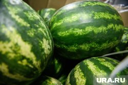 Детей приглашают на арбузную вечеринку 