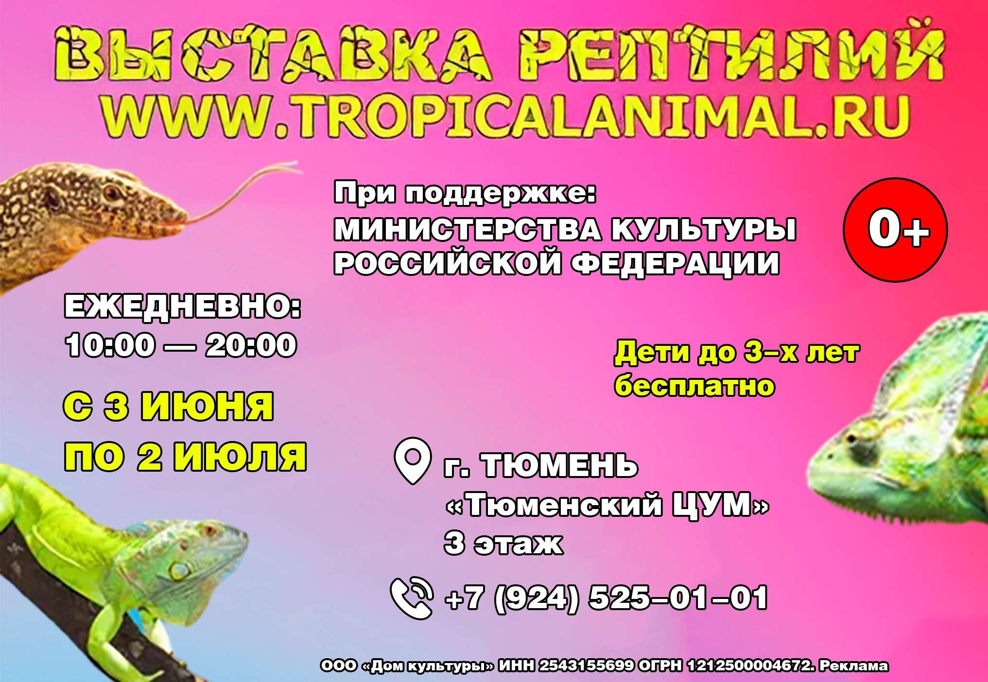 Выставка рептилий кызыл. Зоопарк рептилий владивосток. Выставка рептилий в красноярске 2024. Выставка рептилий петропавловск. Выставка рептилий спб.