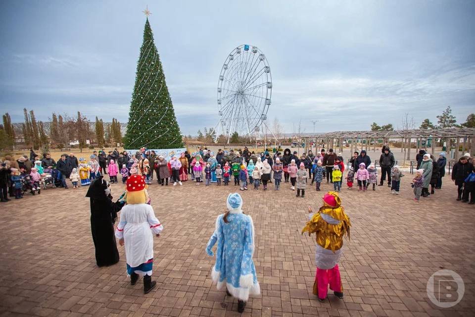 Новый год детям волгоград. Парк крылья советов открытие елки 2022 среда. Новый год детям волгоград. Новый год детям волгоград. Елки в волгограде для детей.
