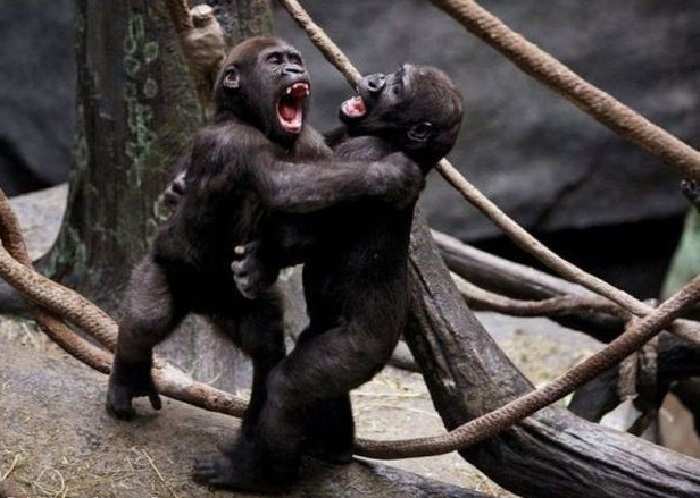 Какой комар: раскрыты причины страданий россиян во время путешествий