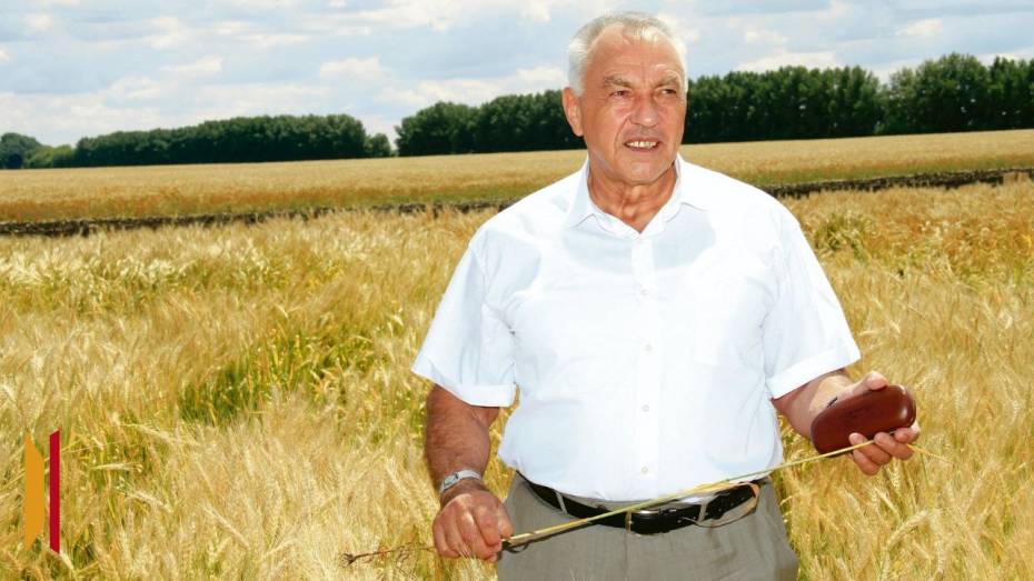 Глава администрации Аннинского района Воронежской области победил в спецноминации конкурса Союза журналистов России