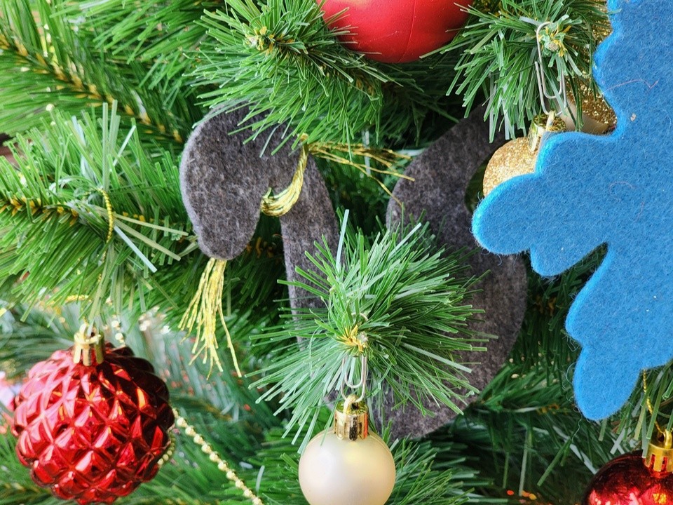 В усадьбе Быково для птиц и белок нарядили ЭкоЕлку с гостинцами