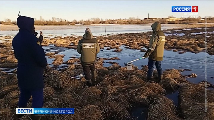 Росприроднадзор отреагировал на сообщение о поступлении неочищенных стоков в реку Питьба в Новгородском районе