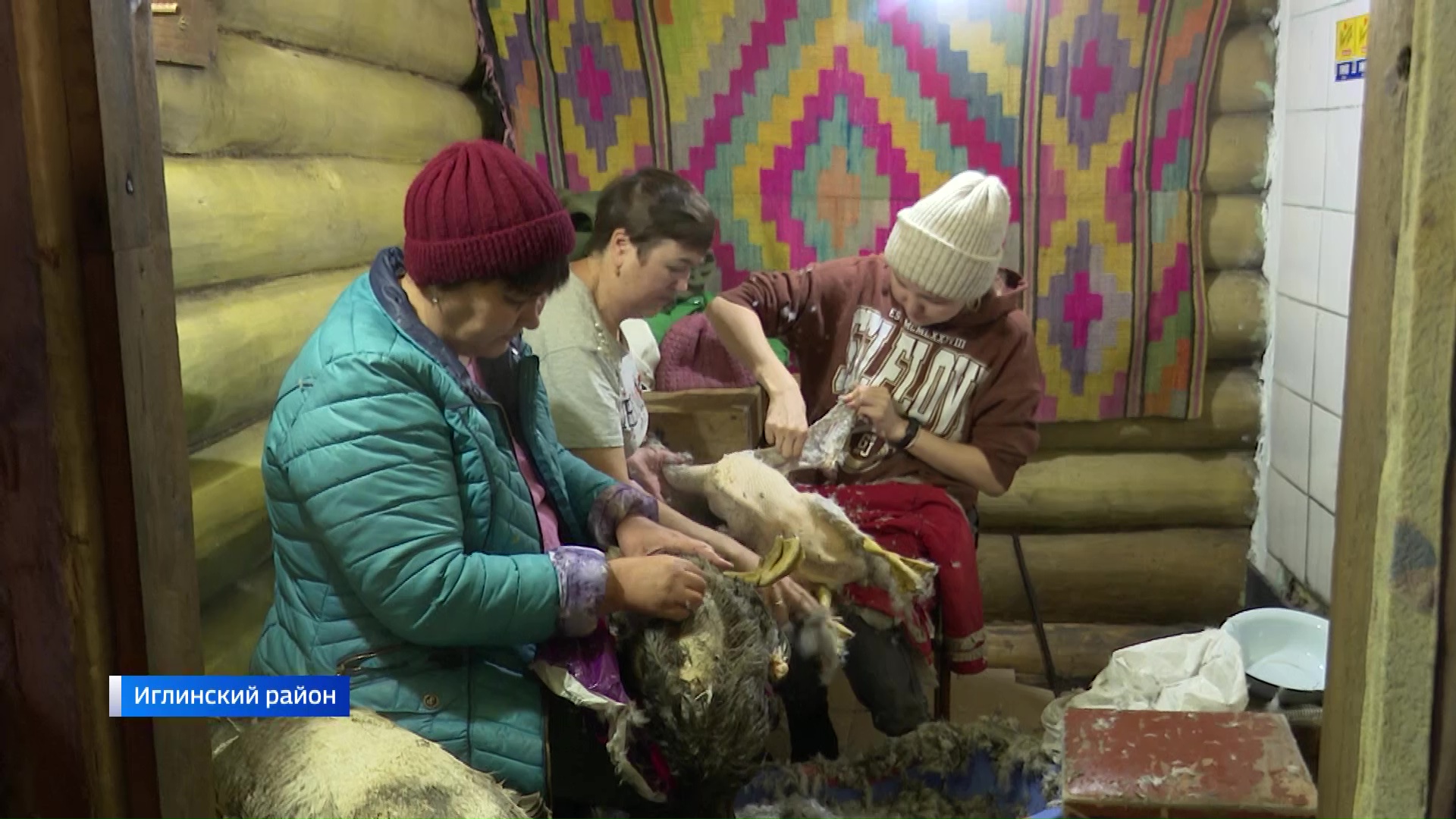 «Вести» побывали на празднике «Гусиного пера»