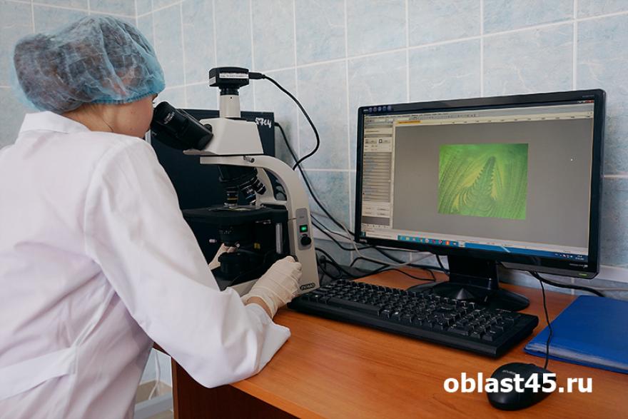 Искусственный интеллект помогает врачам Курганской области в диагностике заболеваний