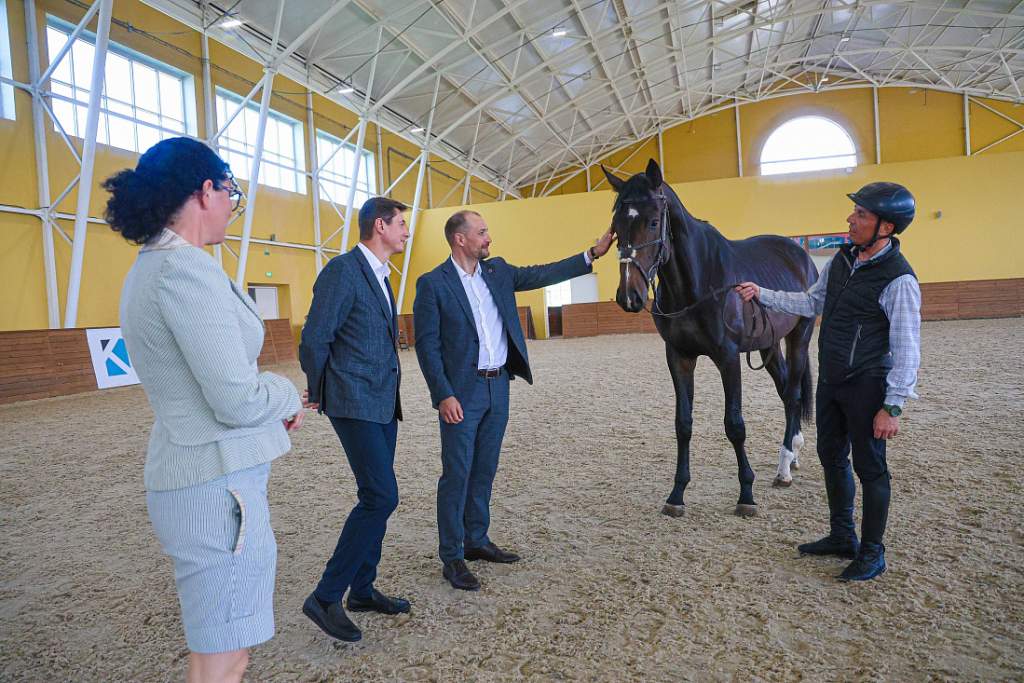В Курске в конноспортивной школе показали новых лошадей