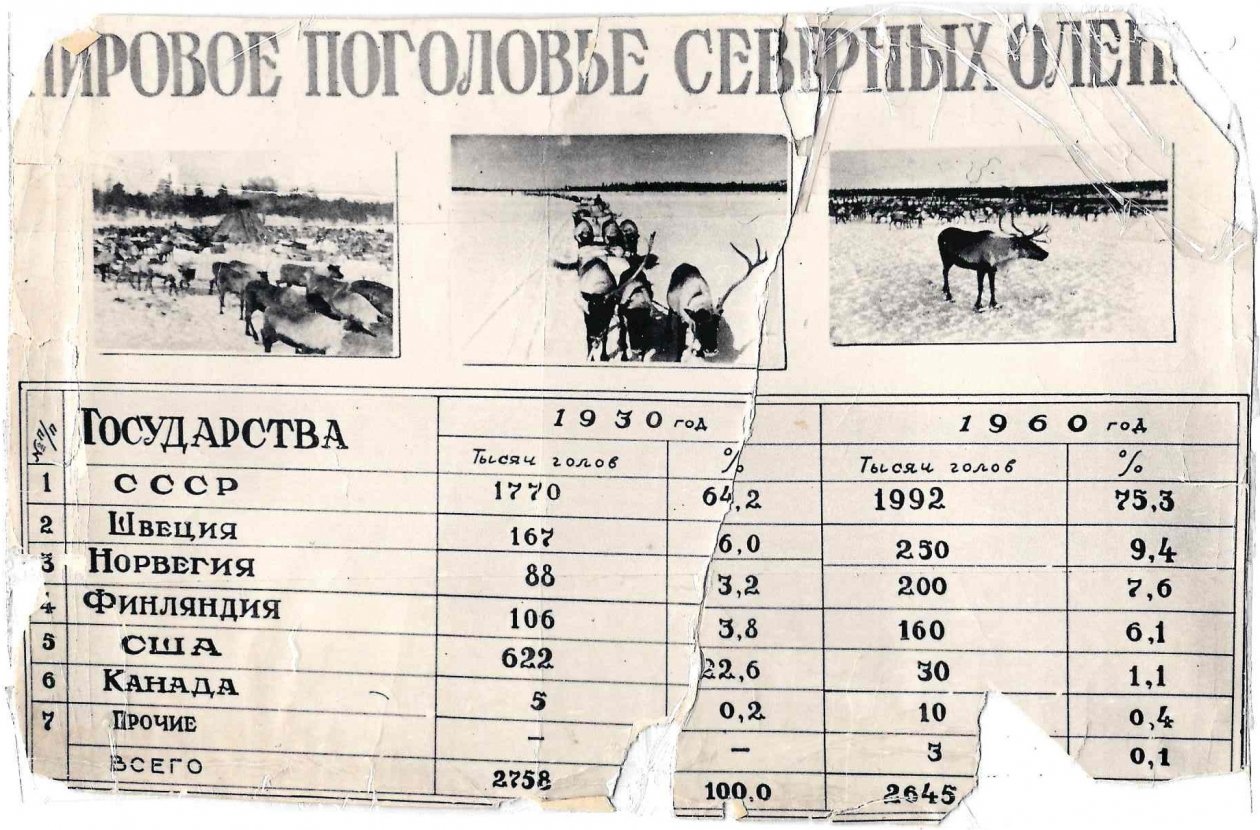 из личного архива Владимира Шейко