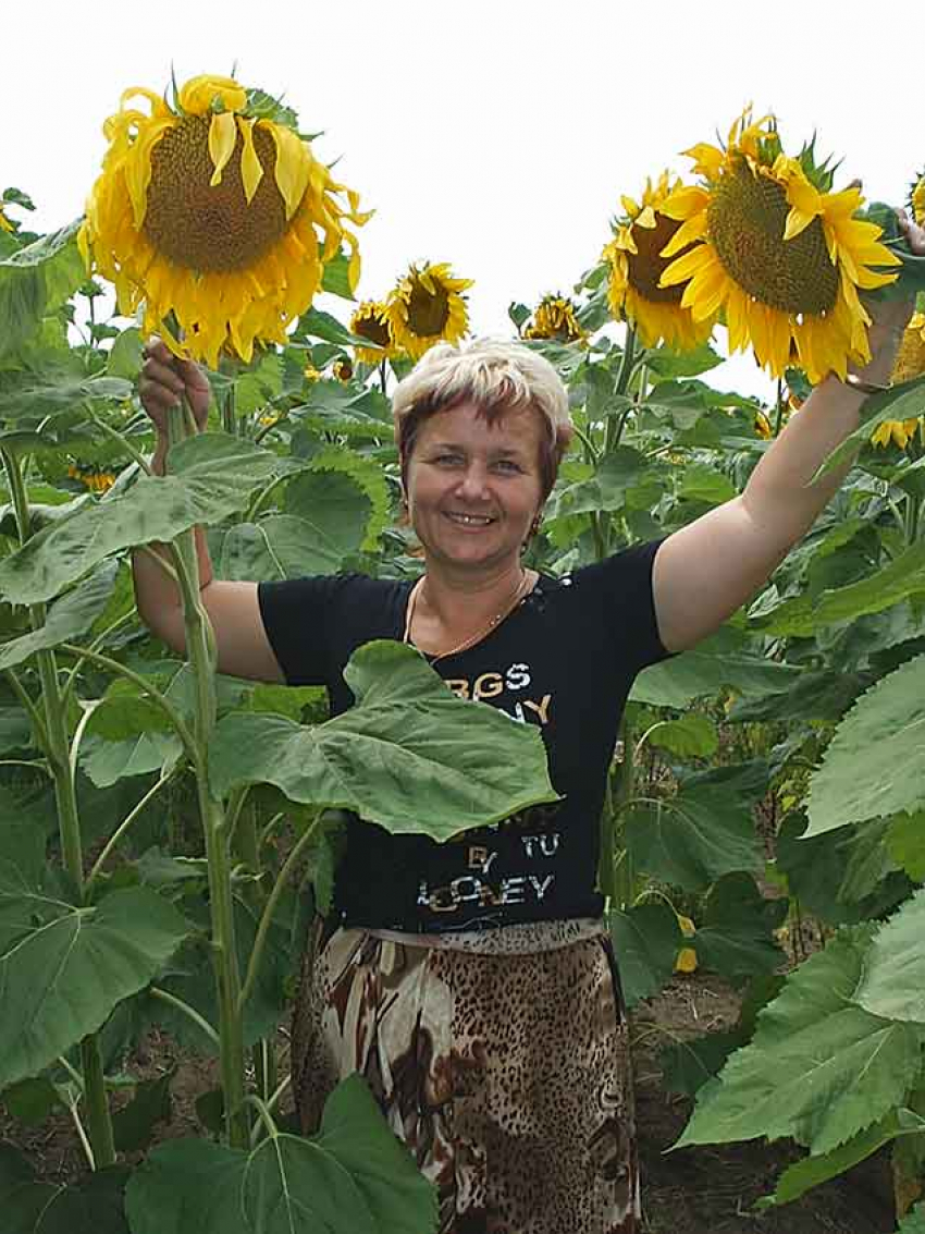 Что известно о «семенном» инвестпроекте, площадка для которого появится в Камышинском районе