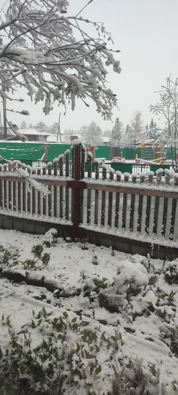 Когда будет снег в чите. Когда будет снег в чите. Снег в чите сегодня. Сильный снег. Чита зимой.