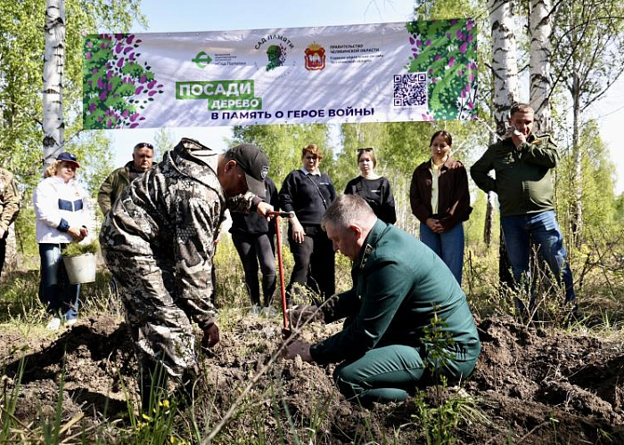 Почти 10 тысяч сосен высадили на месте пожара в городском бору Челябинска