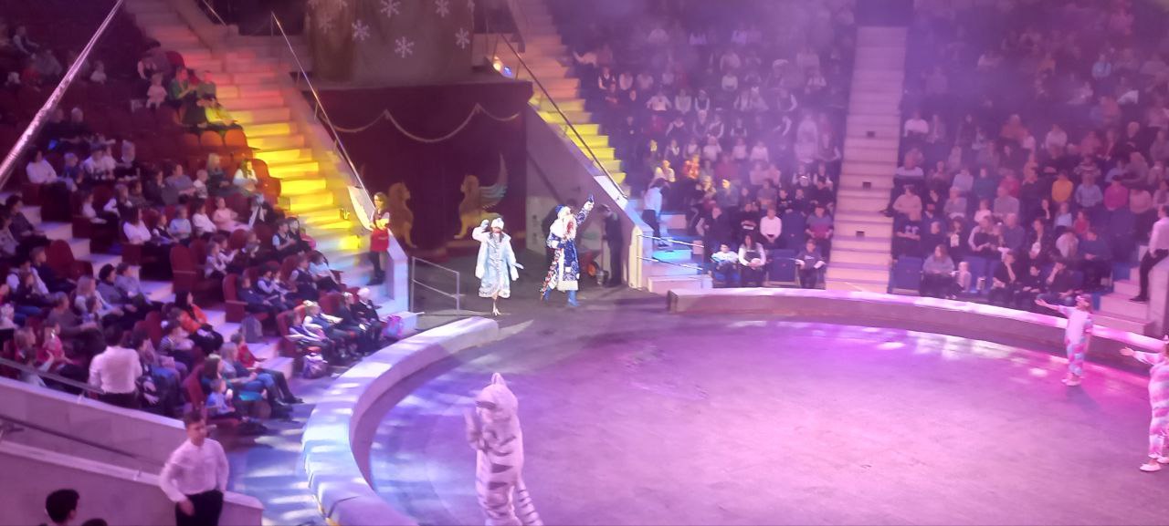 Шоу на невероятно длинных шестах. Тула цирк представление. Тульский цирк последние. Светлана олейникова тула цирк. Тула цирк представление.