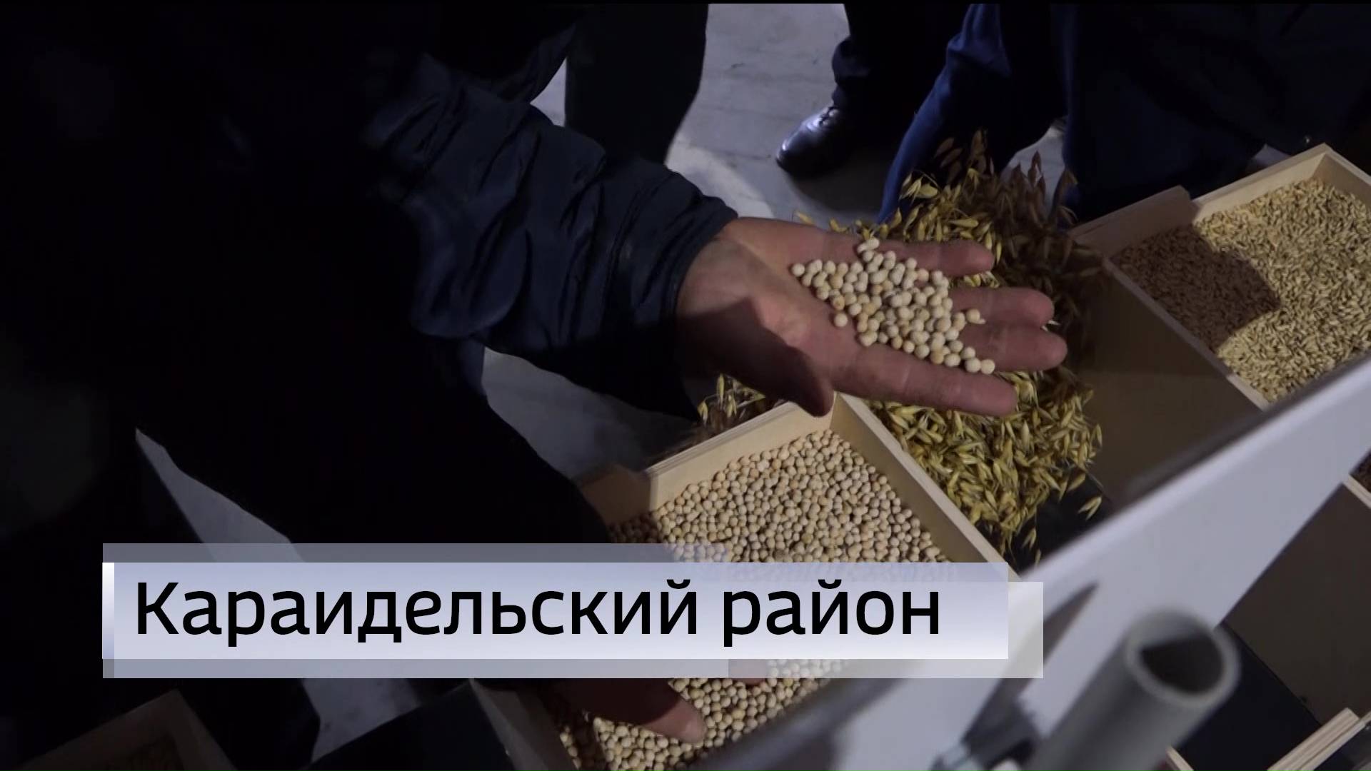 В Башкирии прошла агрономическая конференция, где обсуждались вопросы подготовки к весенне-полевым работам