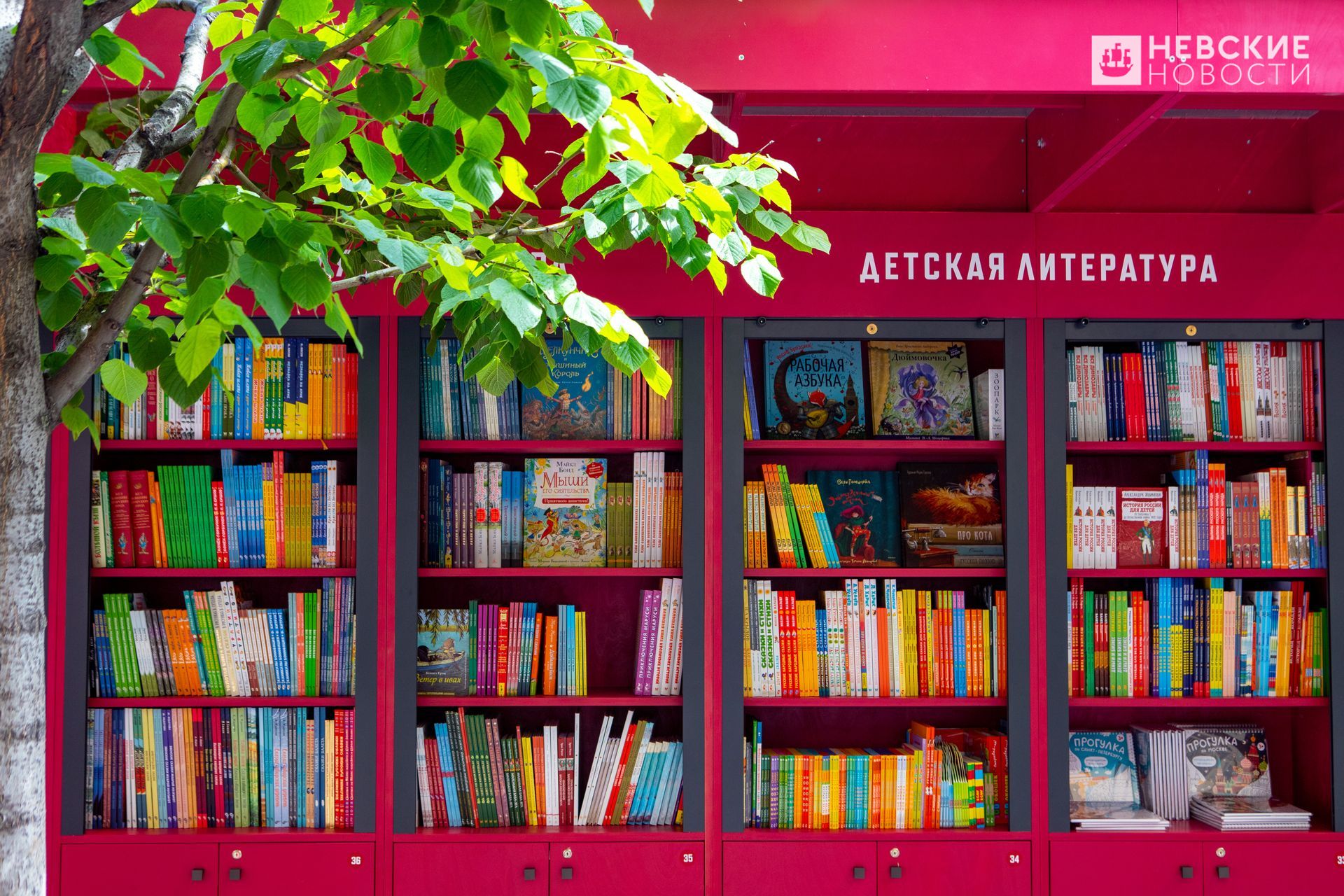 проект книжная полка и современный читатель