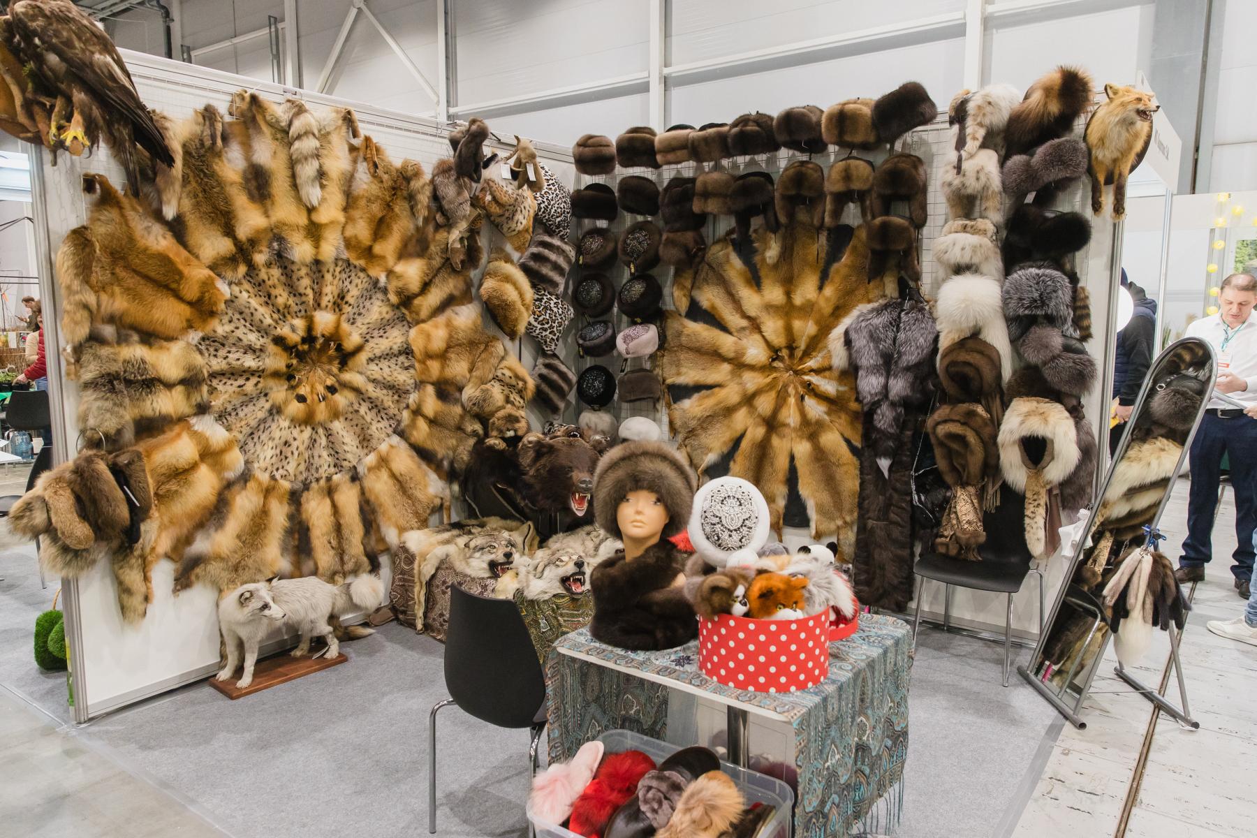 Фото Дом на колёсах, мощные машины и лодки. Опубликованы фото крупнейшей выставки «Активный отдых» в новосибирском Экспоцентре 20