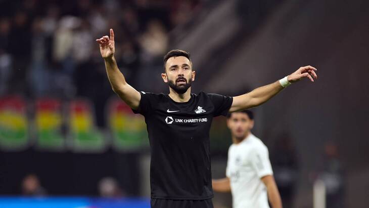 Стефан Панич