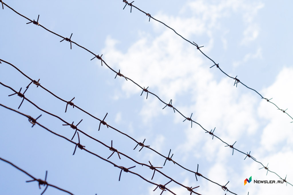 Житель Советска «прокатил» полицейского на капоте