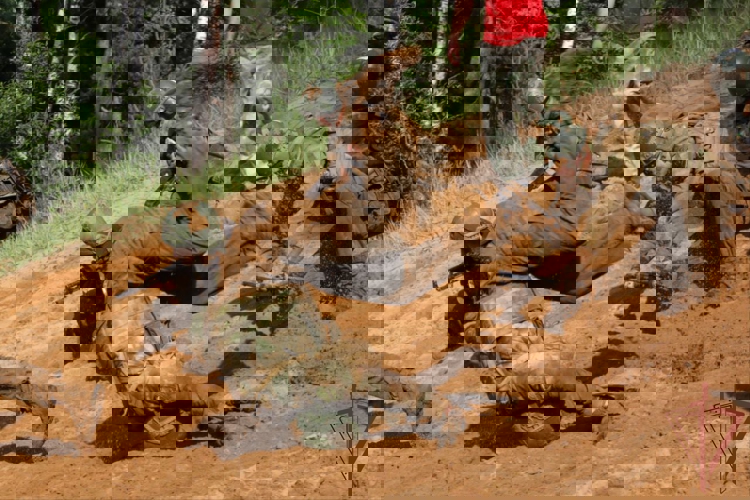 Генерал-полковник Юрий Яшин поздравил спецназовцев, которые успешно прошли квалификационное испытание на право ношения крапового берета (видео)