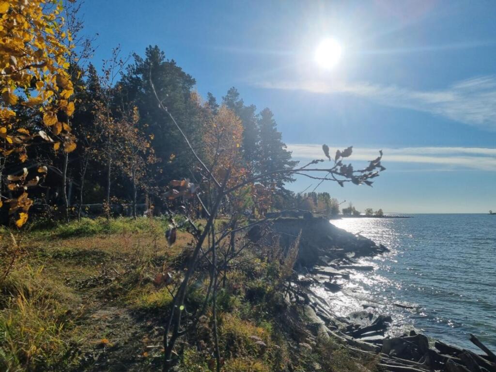 Берега Бердска