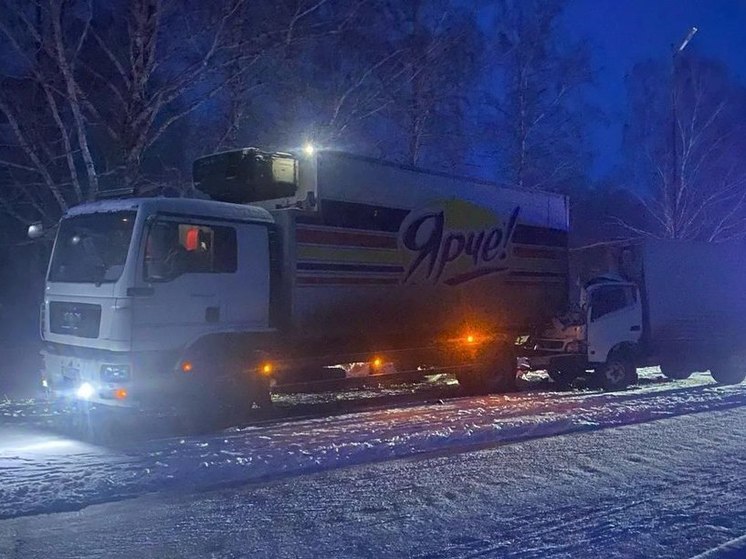 Один человек погиб и второй попал в больницу после ДТП с большегрузами в Новосибирской области