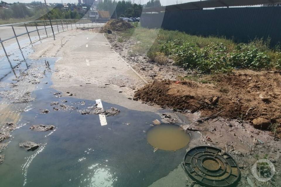 В Волгограде в дендрарии разлились стоки