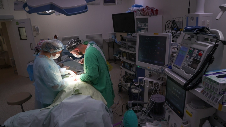 Ученые: птичий грипп грозит новой пандемией, хуже COVID по масштабам