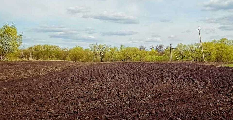 В Воронежской области уменьшится число кадастровых ошибок 