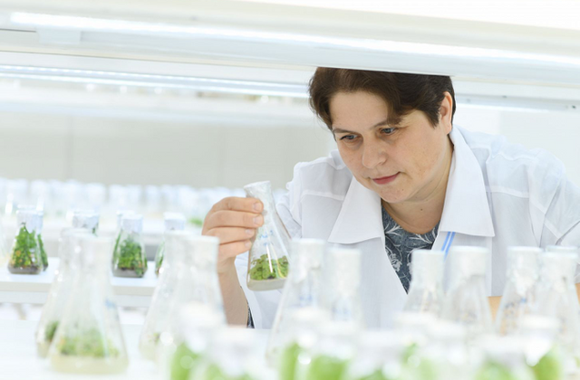 Ученые АлтГУ изучают возможности работы с искусственными семенами