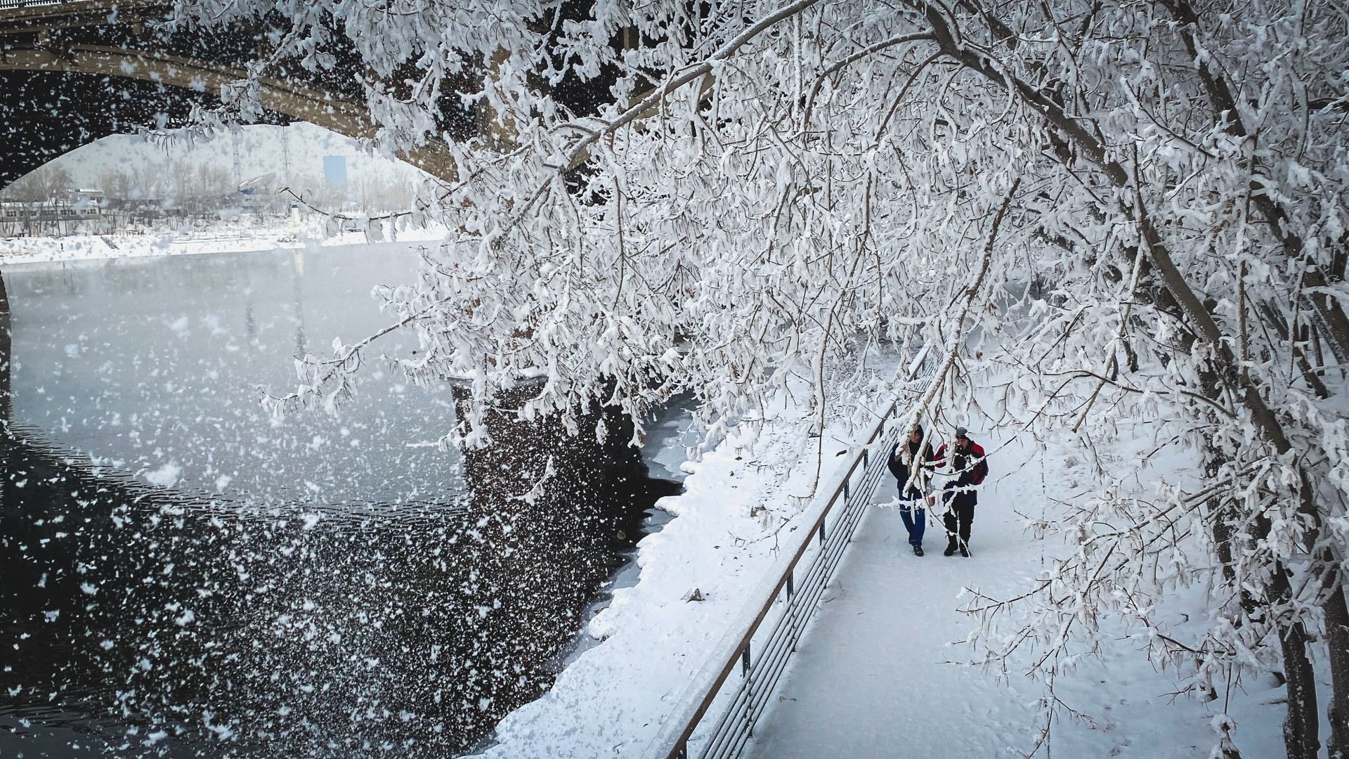 Зима на подходе: первый снег накроет Владивосток в конце октября — прогноз синоптиков