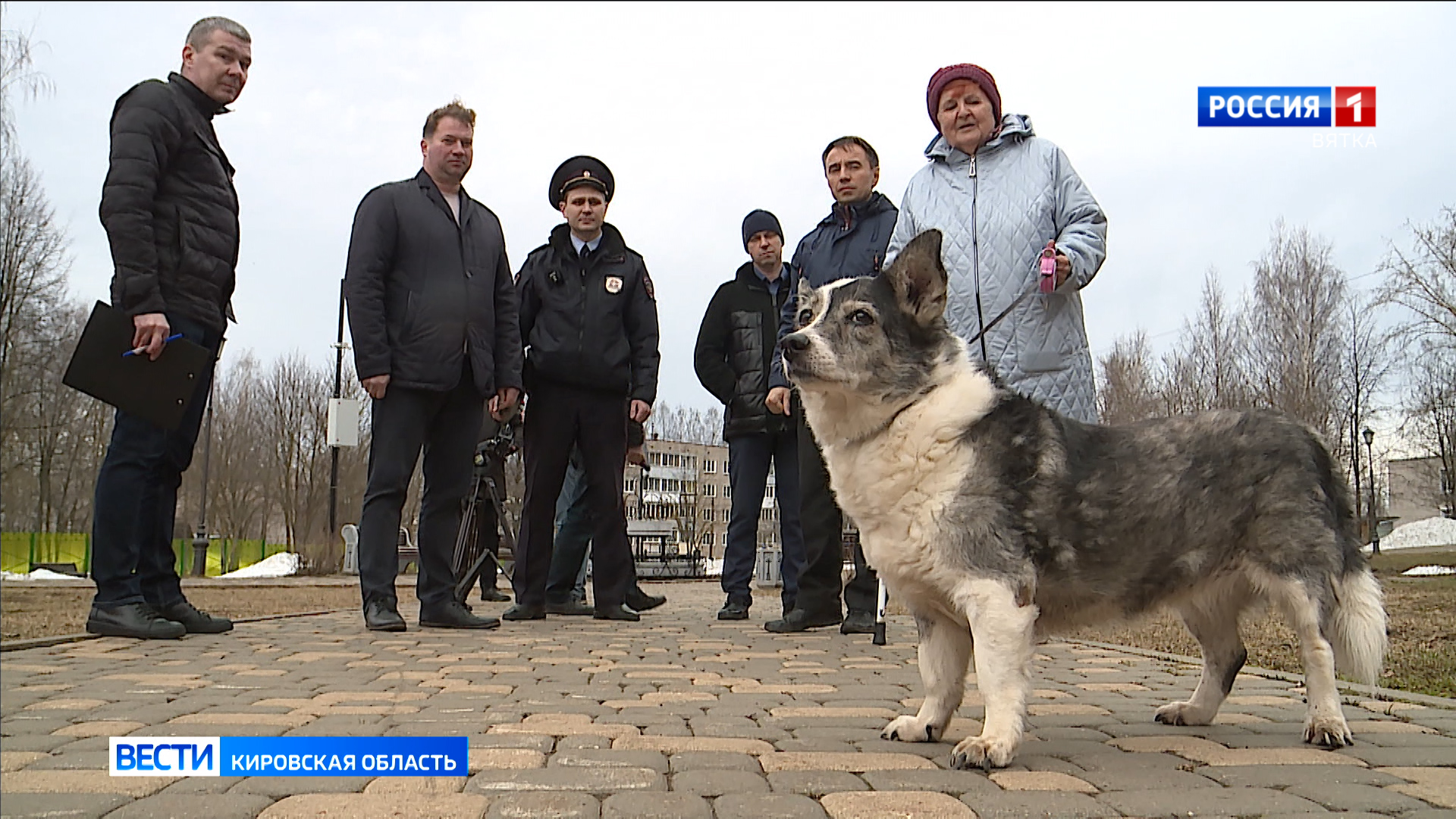 Владелец собаки, который не прибирает место выгула, может получить штраф