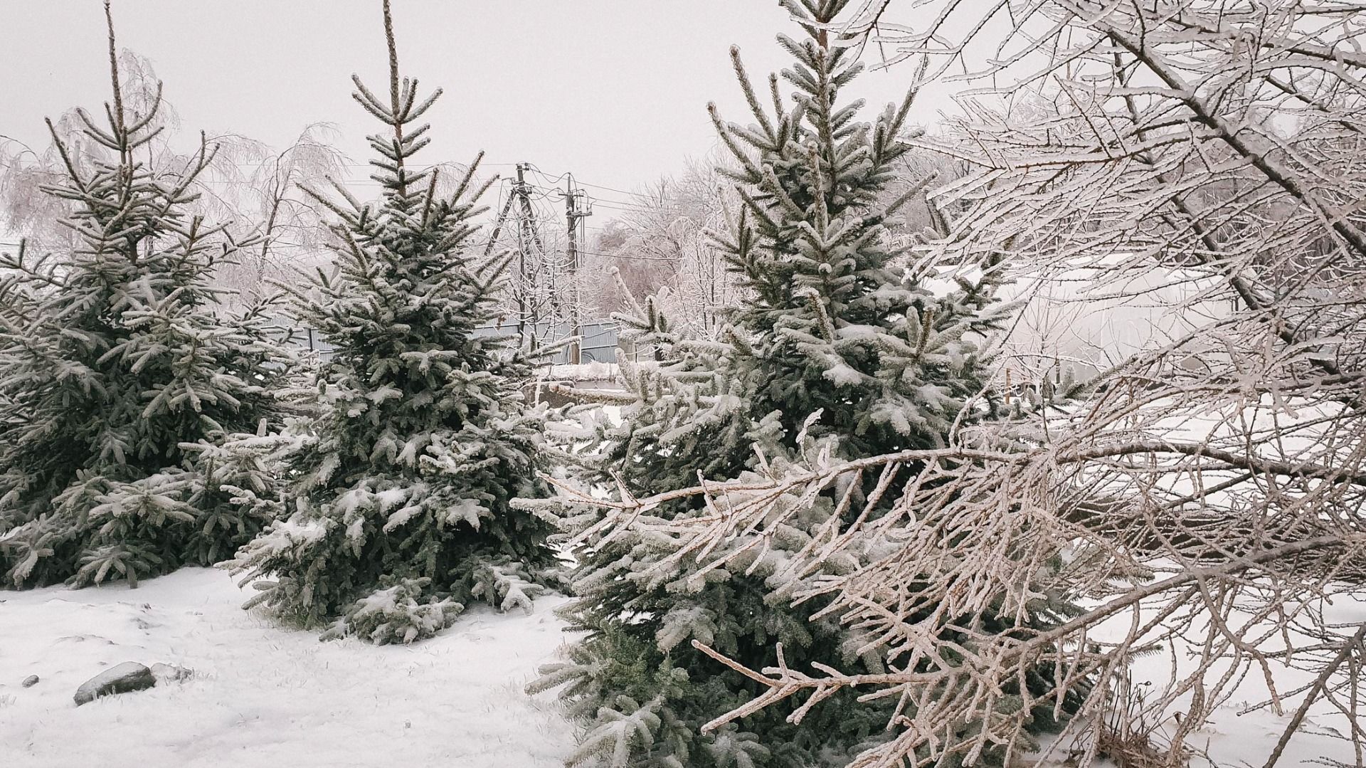 Снег, мороз и гололед: синоптики дали тревожный прогноз для Приморья на выходные
