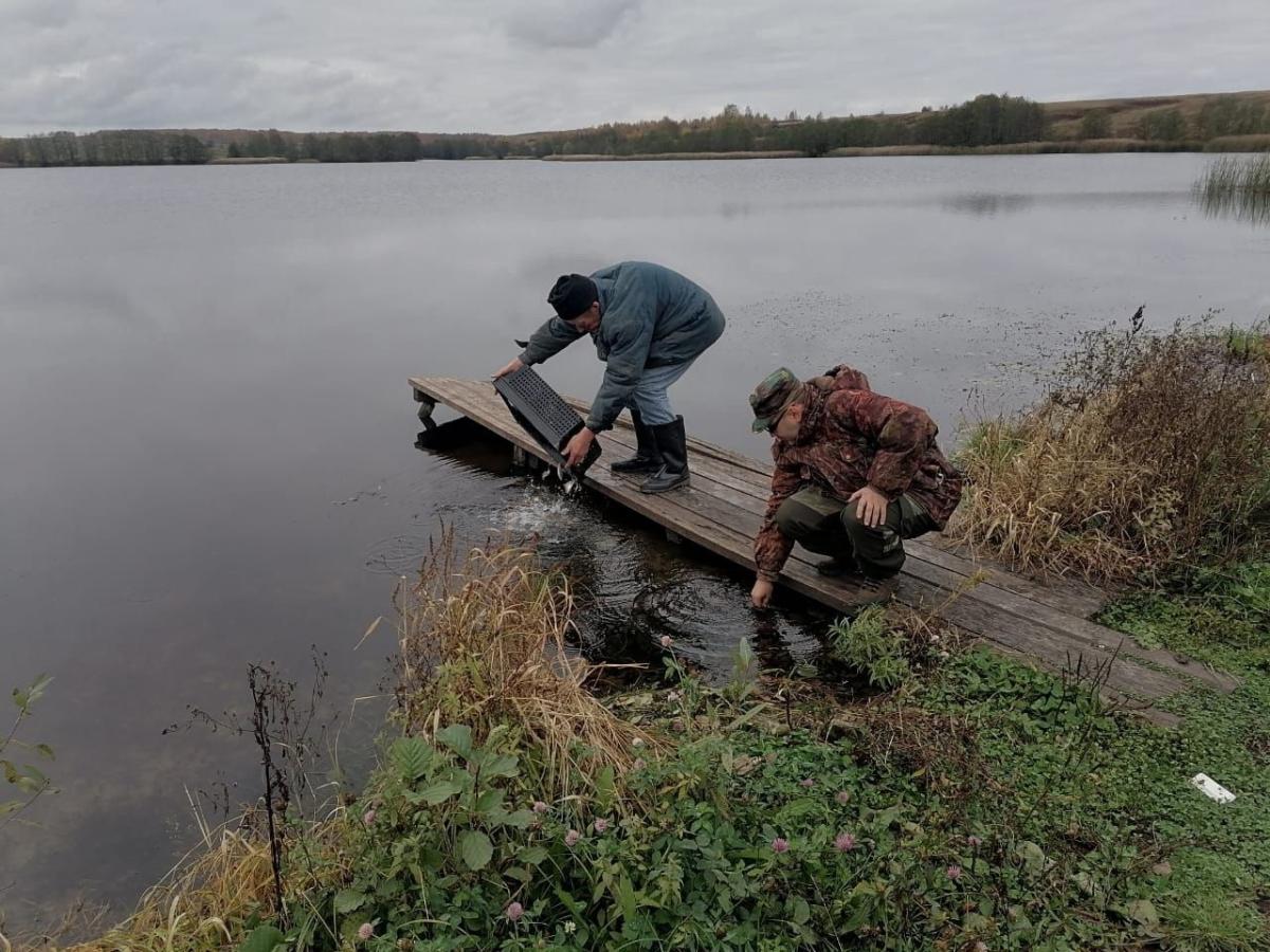 река меня в мордовии